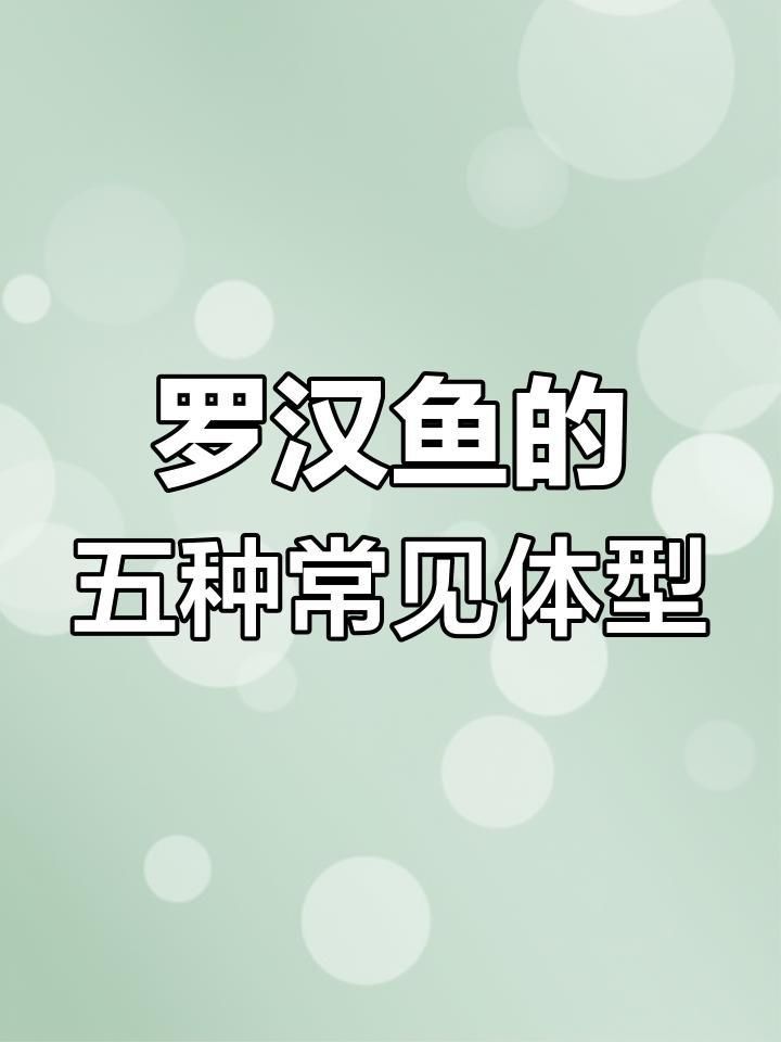 羅漢魚品種介紹大全