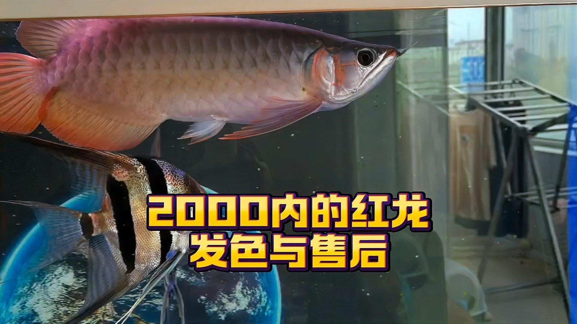 紅龍品牌的產(chǎn)品保修期是多久？