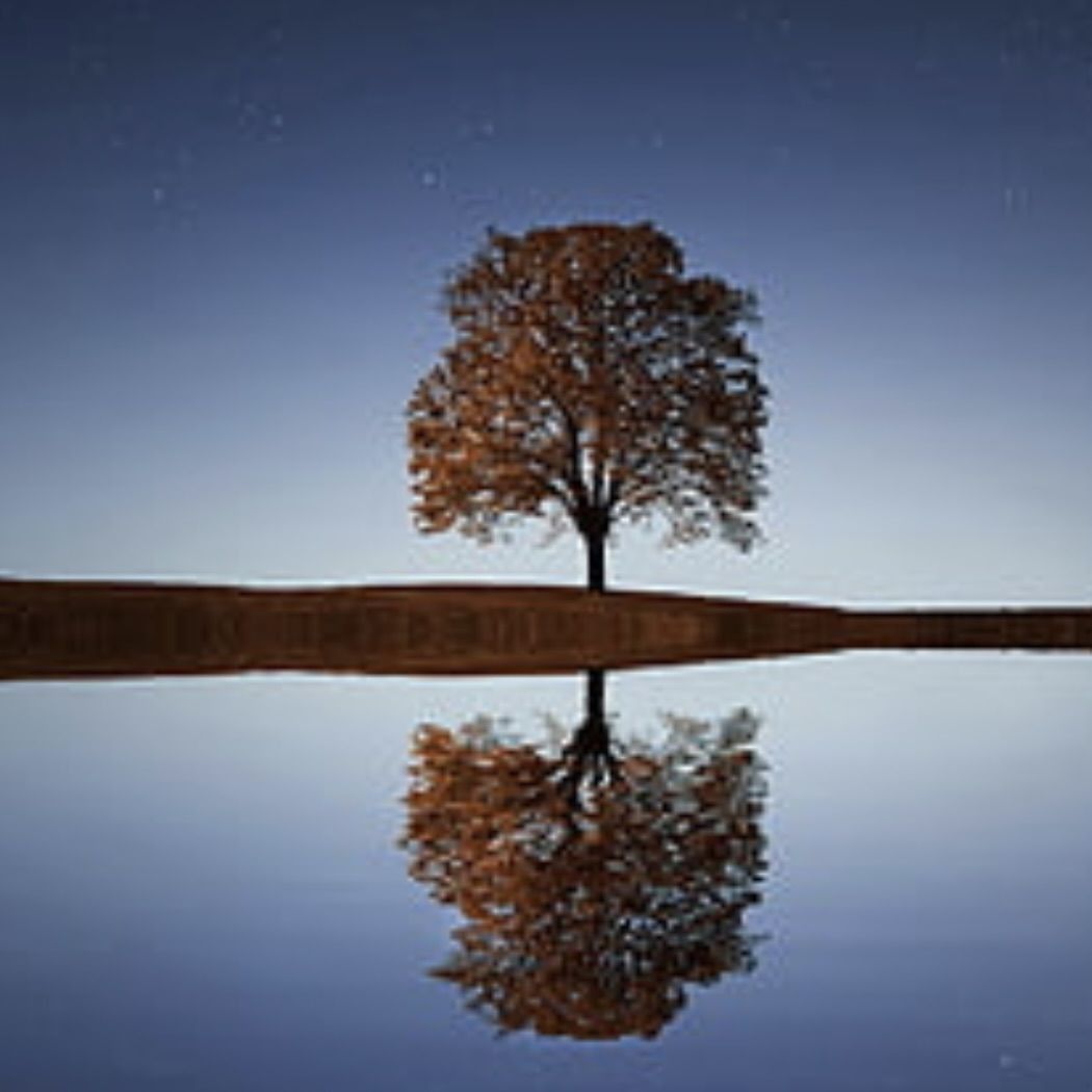 金色眼睛的貓是什么品種