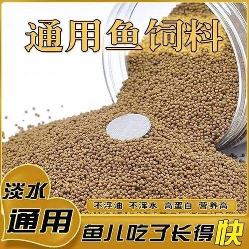 有哪些適合幼魚的龍魚飼料？