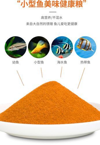 有哪些適合幼魚的龍魚飼料？