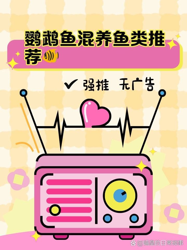 銀龍魚能吃鸚鵡魚飼料嗎怎么喂