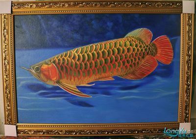 金龍魚畫法（金龍魚畫法步驟詳解，金龍魚色彩搭配方法詳細步驟）