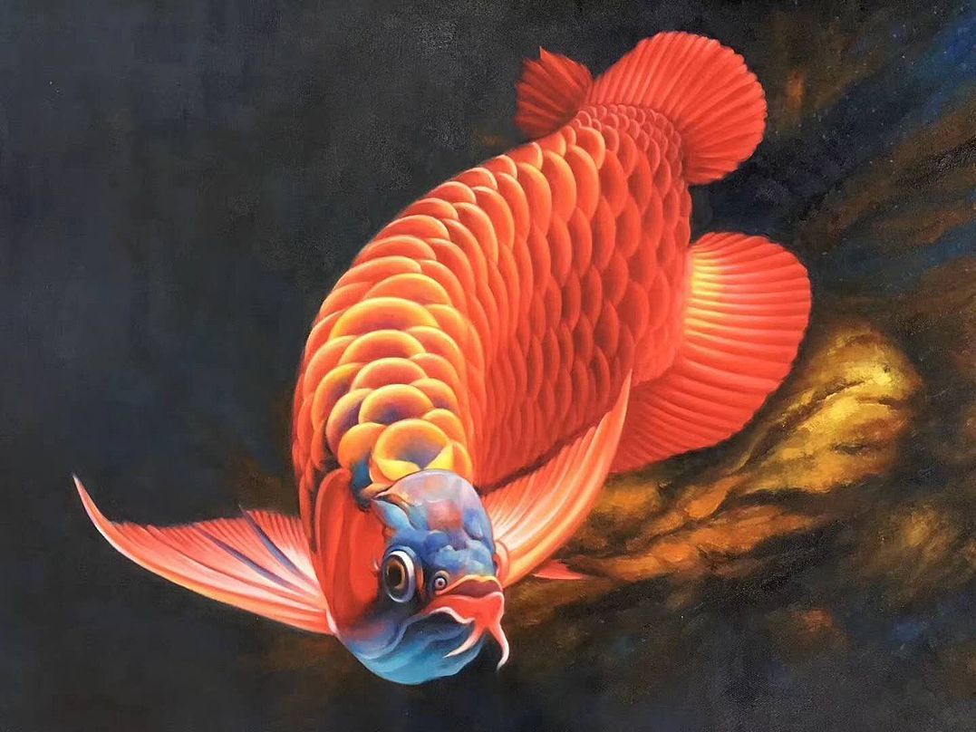 古典幻彩龍魚怎么畫好看：古典幻彩龍魚的簡(jiǎn)筆畫教程
