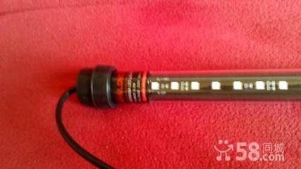 龍魚專用燈什么牌子好點兒的：馬印龍魚專用燈品牌crazyplant燈對龍魚色彩影響