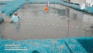 養殖金龍魚魚場（養殖金龍魚的魚場需要具備先進的設施、科學的管理、靈活的經營策略）