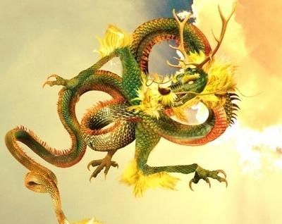 屬龍的人養龍魚好嗎女生可以養嗎：屬龍的人養龍魚好嗎