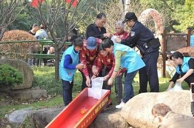 阿古斯紅龍魚：阿古斯貢拜龍魚價位解析，高端觀賞魚的市場行情