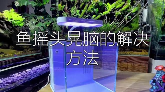 金龍魚張嘴甩頭是怎么回事兒
