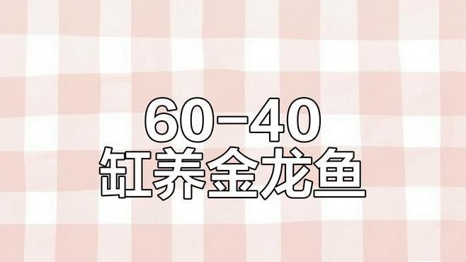 金龍魚能長到多大年齡