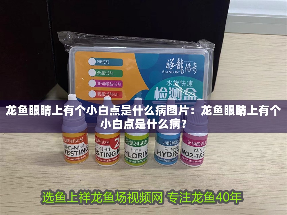 龍魚眼睛上有個(gè)小白點(diǎn)是什么病圖片：龍魚眼睛上有個(gè)小白點(diǎn)是什么病？