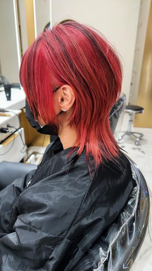 赤血紅龍魚生長過程圖片視頻大全