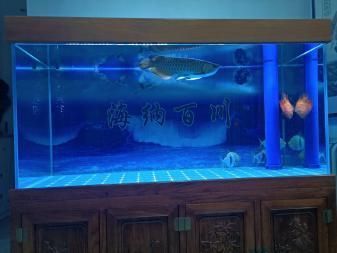 一米二的缸養金龍魚可以嗎：一米二的缸養金龍魚可以嗎，
