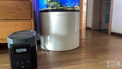 龍魚魚缸停電一天會死嗎：停電一天會對龍魚造成傷害嗎？