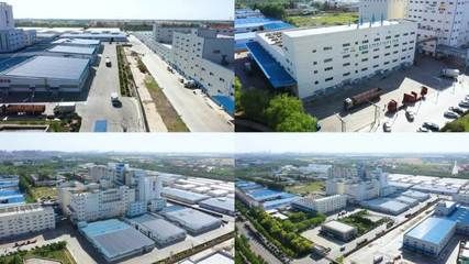 好金龍魚多少錢（金龍魚價格因品種、大小、品質等因素而有很大差異）