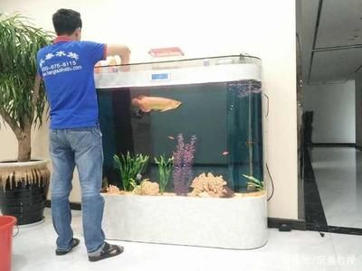 養(yǎng)金龍魚怎樣招財辟邪最好的方法：養(yǎng)金龍魚怎樣招財辟邪 養(yǎng)金龍魚怎樣招財辟邪最好的方法：養(yǎng)金龍魚怎樣招財辟邪 龍魚百科 第2張