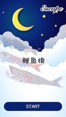 鯉魚2025全集