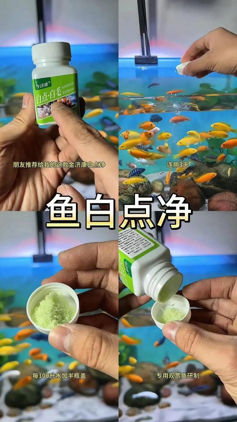 龍魚全身長(zhǎng)白點(diǎn)