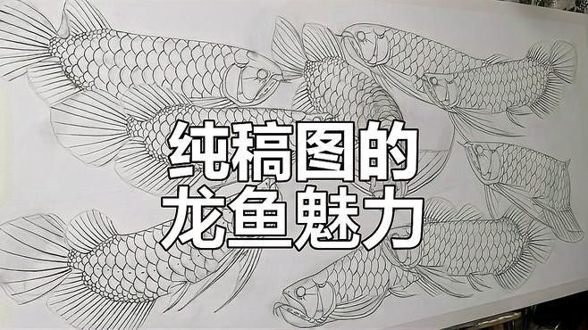 有沒有更多4K藝術風格的龍魚壁紙？