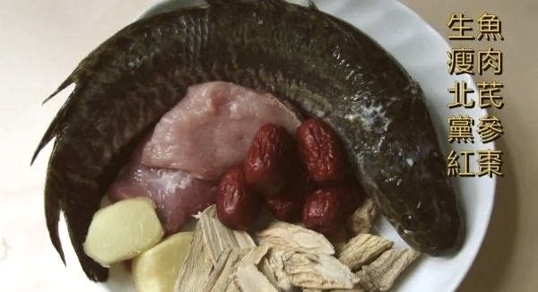 雷龍魚煲湯有哪些常見做法？