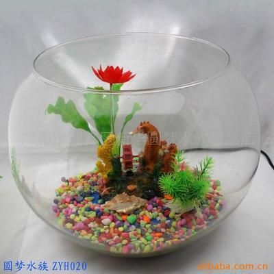 海豚魚缸（海豚魚缸是什么牌子）