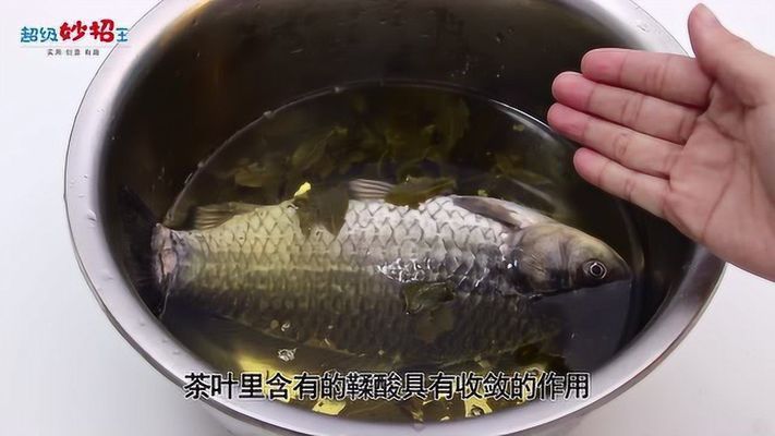 茶水養紅龍魚好不好呀：紅龍魚養紅龍魚的飼養注意事項紅龍魚的飼養方法