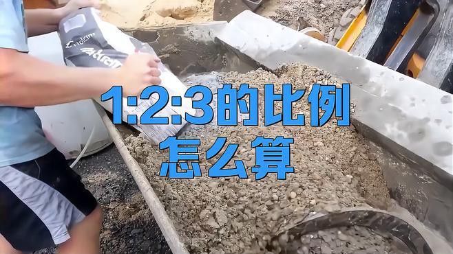 金龍魚1：11