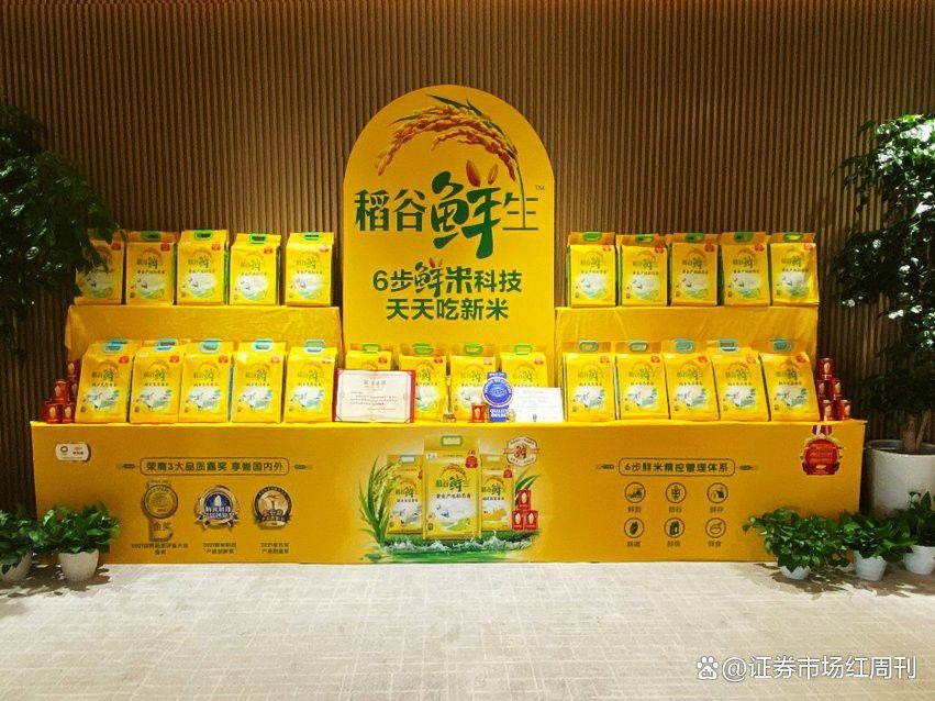 金龍魚在全球研發中心有哪些研究成果？