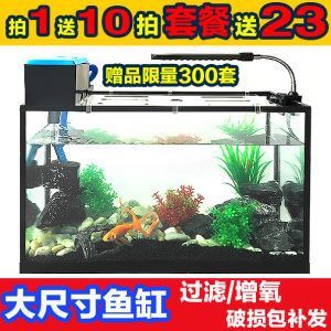 紅龍魚多大缸（養紅龍魚要多大的缸？）