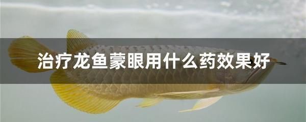 龍魚腸炎的治療（慶大霉素和土霉素使用方法）