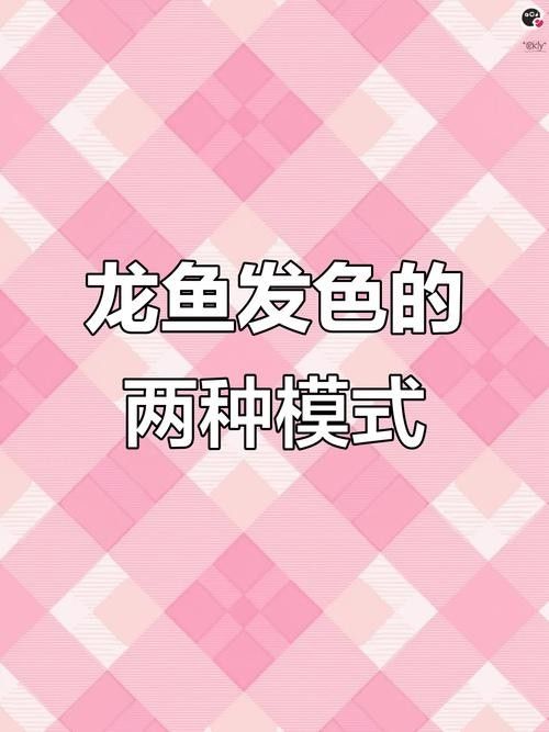 龍魚混養影響發色嗎圖片大全