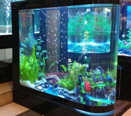 龍魚缸水流方向：龍魚缸水流方向對魚類的生活環境和健康有重要影響
