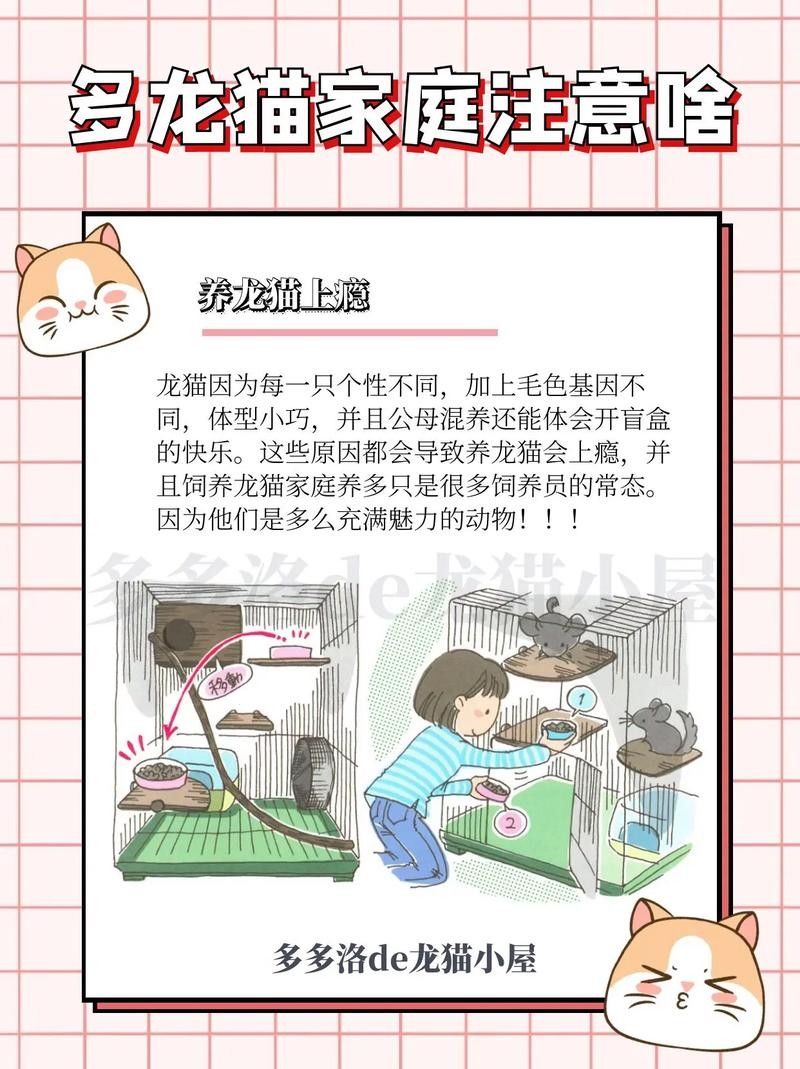 龍貓不認(rèn)新主人怎么辦？