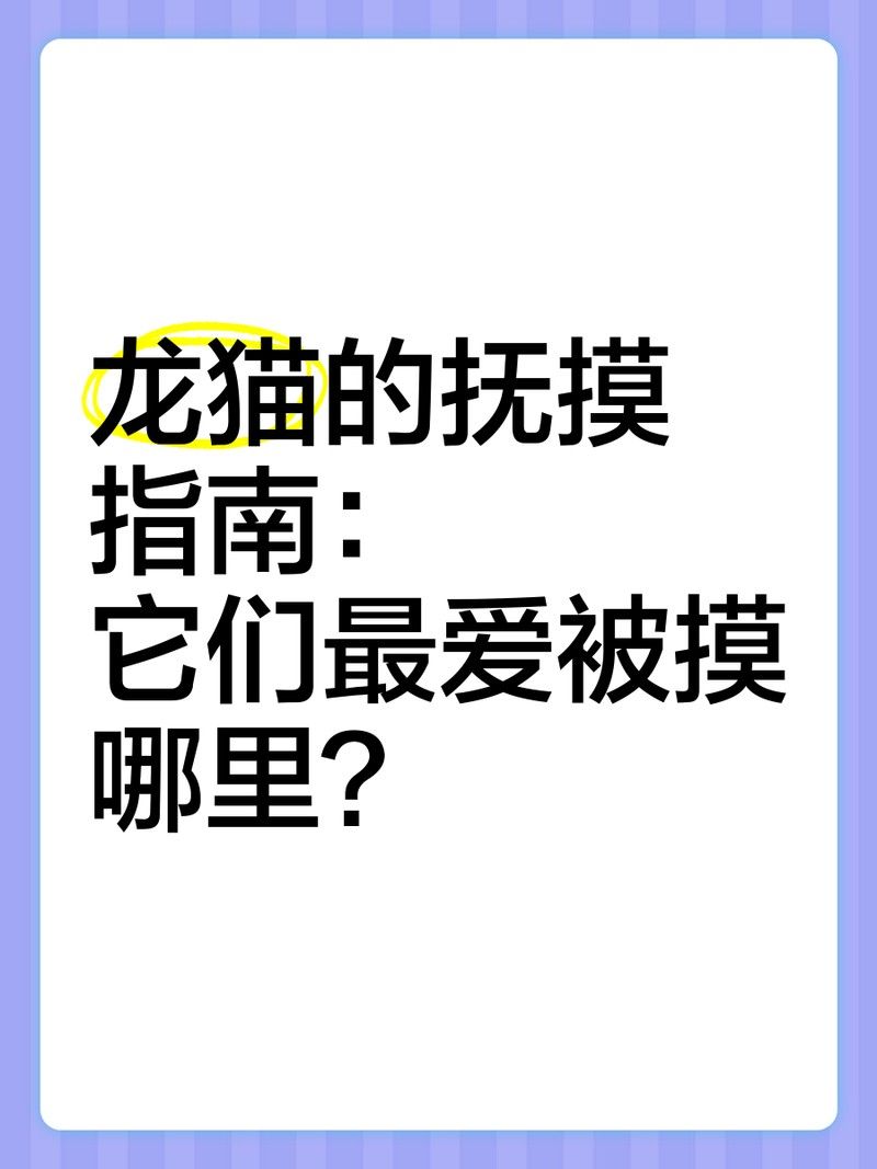 龍貓不認(rèn)新主人怎么辦？