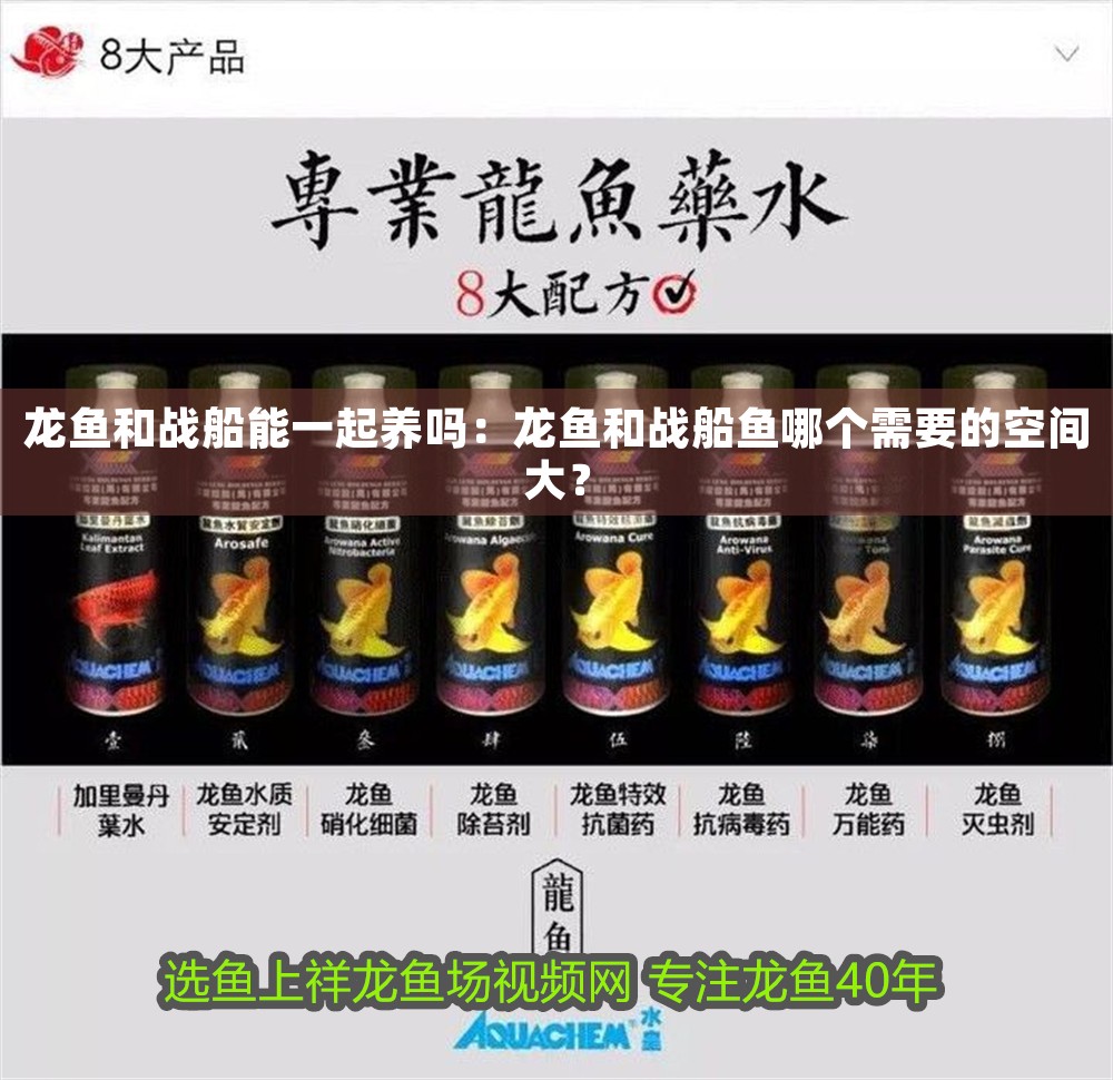 龍魚和戰船能一起養嗎：龍魚和戰船魚哪個需要的空間大？