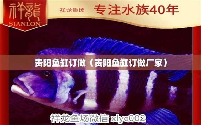 貴陽魚缸定做定制（貴陽魚缸定做廠家）