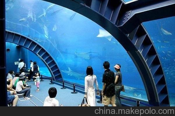 貴陽魚缸定做定制（貴陽魚缸定做廠家）