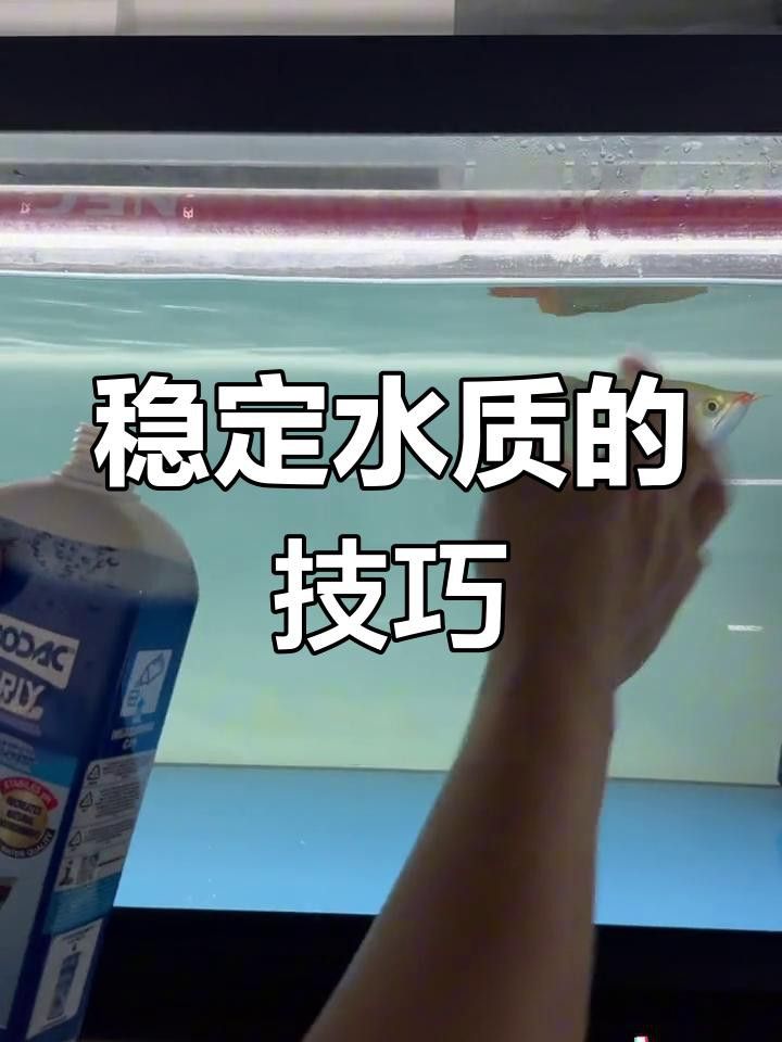 龍魚水質(zhì)PH值如何調(diào)整？