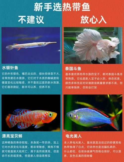 能推薦一些適合混養的魚種嗎？