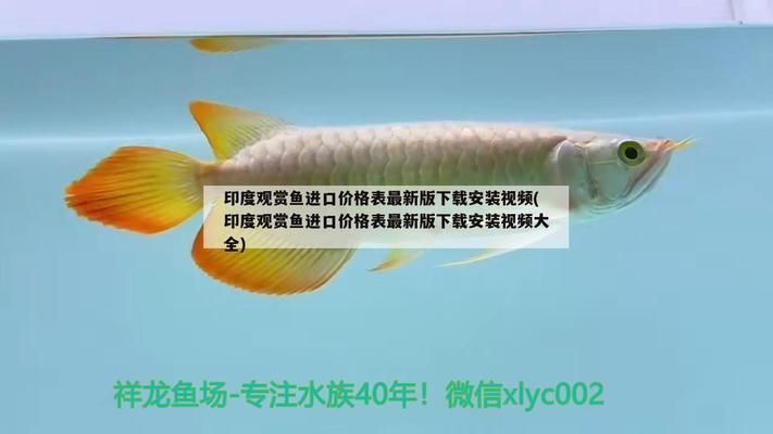 非洲象鼻魚的自我保護機制，非洲象鼻魚的生活環境適應性