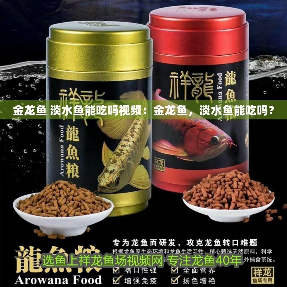 金龍魚 淡水魚能吃嗎視頻:金龍魚,淡水魚能吃嗎? 龍魚百科 第1張 金龍魚 淡水魚能吃嗎視頻:金龍魚,淡水魚能吃嗎? 金龍魚 淡水魚能吃嗎視頻:金龍魚,淡水魚能吃嗎? 龍魚百科 第1張