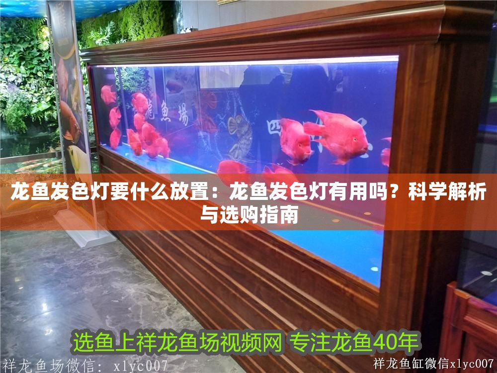 龍魚發色燈要什么放置：龍魚發色燈有用嗎？科學解析與選購指南