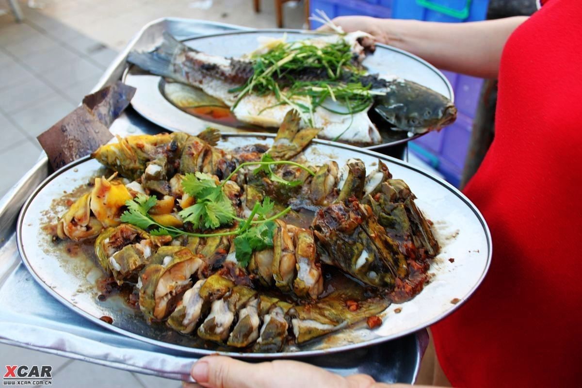 龍魚是否可以吃生肉（龍魚可以吃生肉但在喂食時需要注意一些問題）