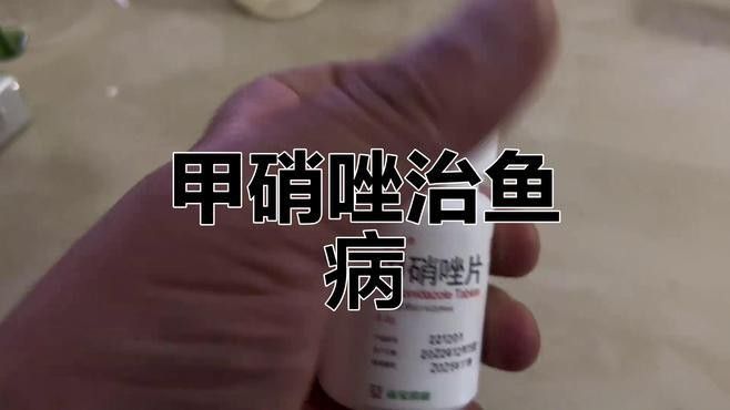 有哪些藥物可以有效治療雷龍魚腸炎？