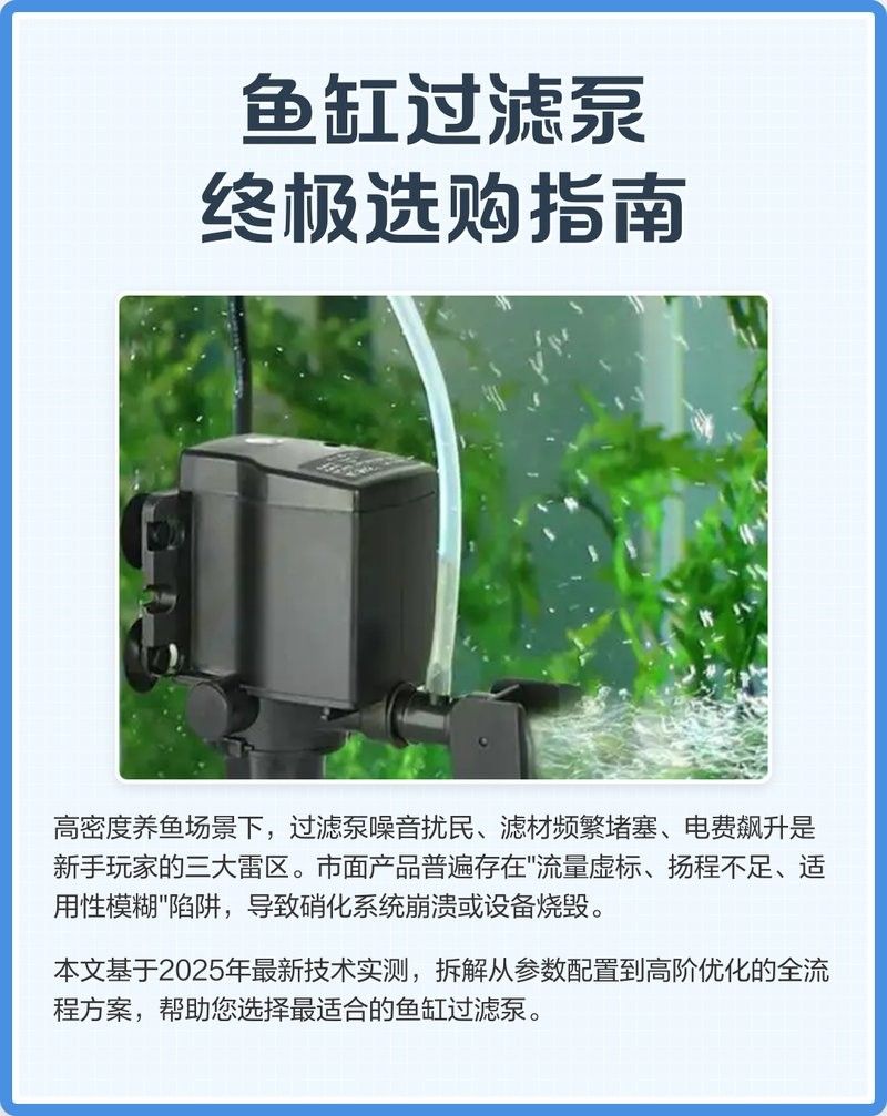 龍魚飼養中哪些過濾設備是必備的？