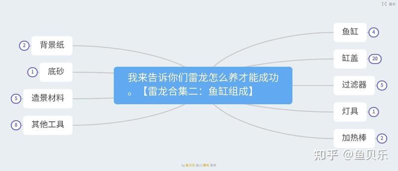 七彩雷龍魚缸尺寸圖