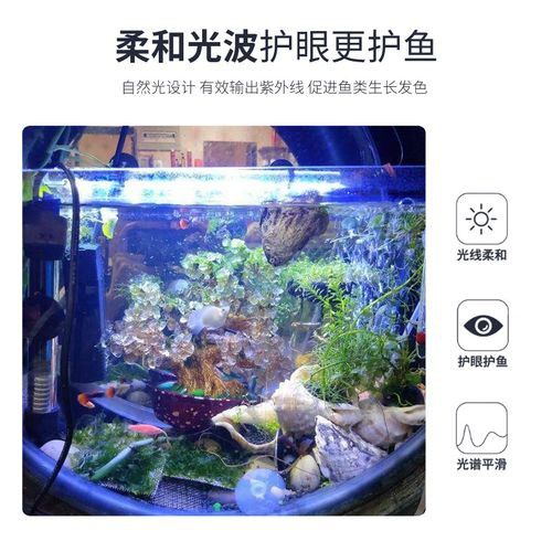 森森龍魚缸的led燈怎么樣
