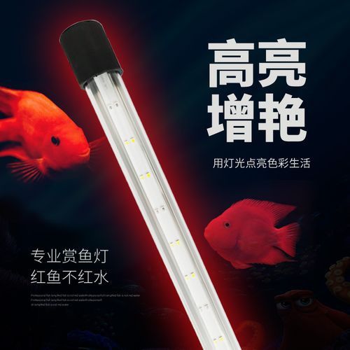 森森龍魚缸的led燈怎么樣