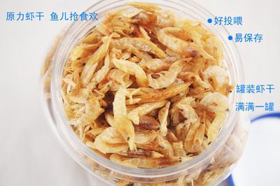 龍魚一直喂蝦干（龍魚一直喂蝦干會導(dǎo)致其生長緩慢）