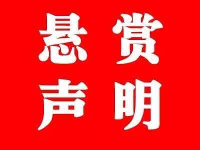 紅龍魚會撐死嗎（養(yǎng)紅龍的10大禁忌）